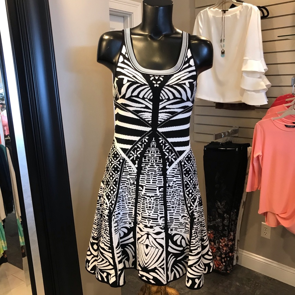 Alberto Makali Dress